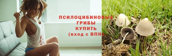 винт Надым