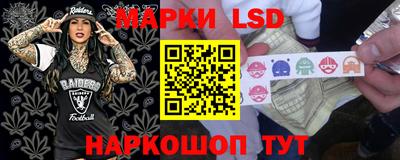 гидропоника Гусь-Хрустальный