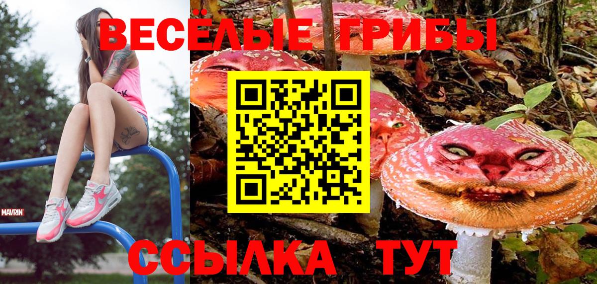 Галлюциногенные грибы GOLDEN TEACHER  Вход с VPN  Коммунар 
