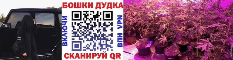 кракен онион  Коммунар  Конопля Bruce Banner  где купить наркоту 
