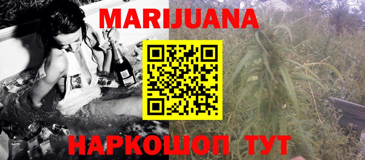 Бошки Шишки планчик Коммунар